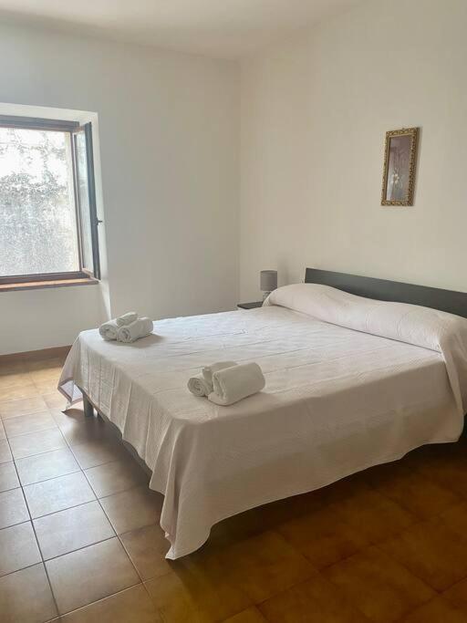 Casa Ca Orsa Villa Cavaion Veronese Eksteriør bilde